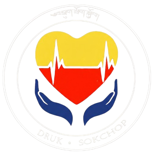 DS Logo