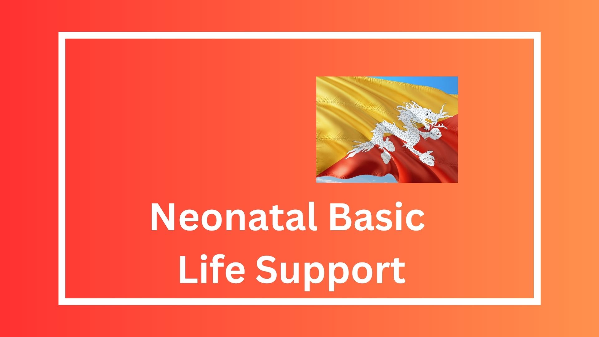 Neonatal Basic Life Support