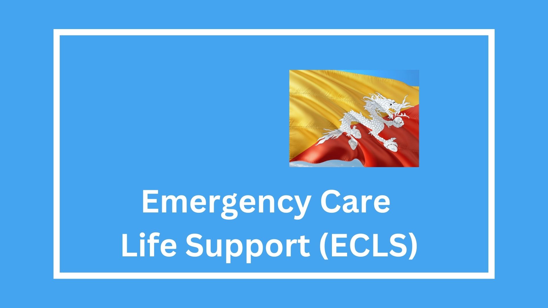 Emergency Care Life Support (ECLS)